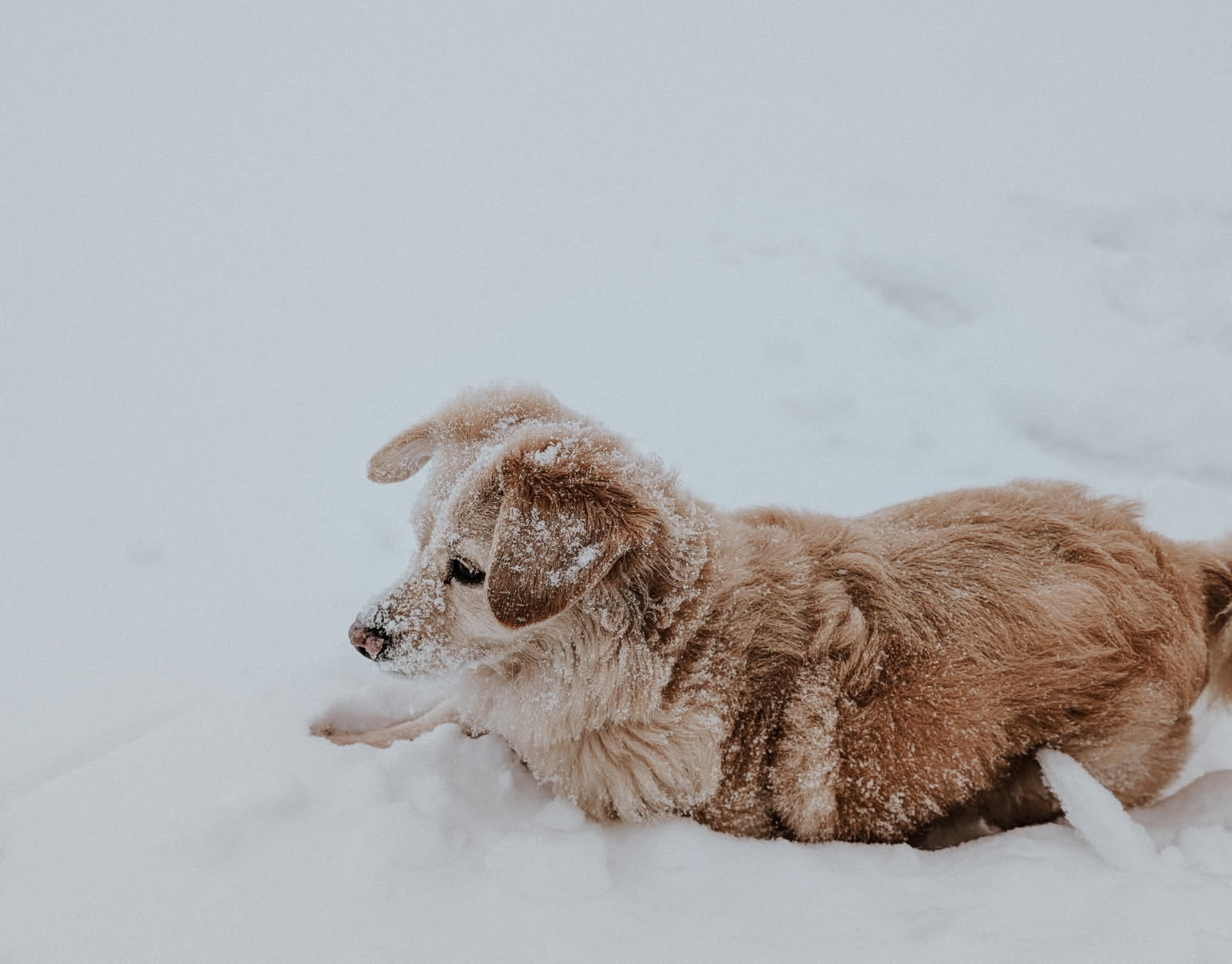 First snow